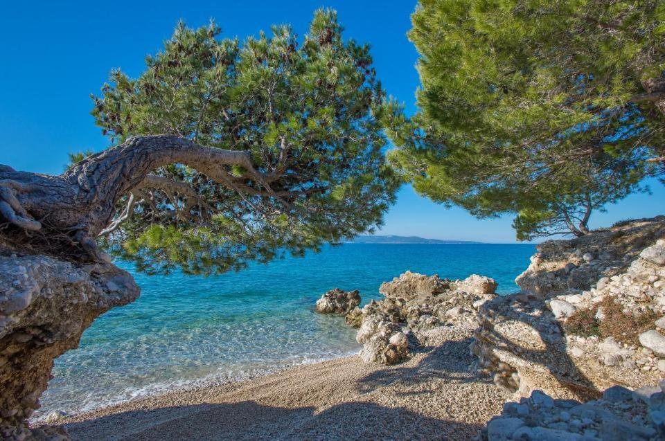 Apartments Kovacic Makarska Buitenkant foto